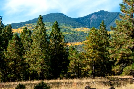 Around the Peaks Loop: FR 418
