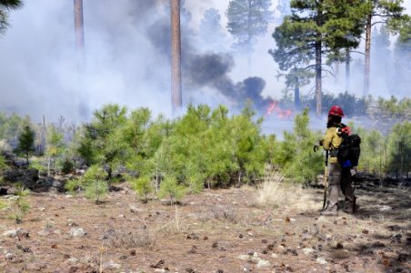 Woody Ridge Rx Burn 4-7-16