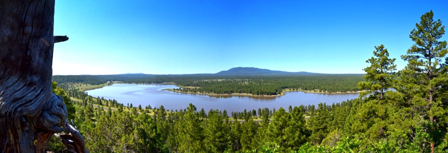 Upper Lake Mary Panorama