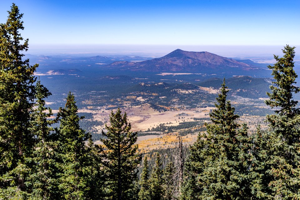 Fall color scenic skyride at the Arizona Snowbowl