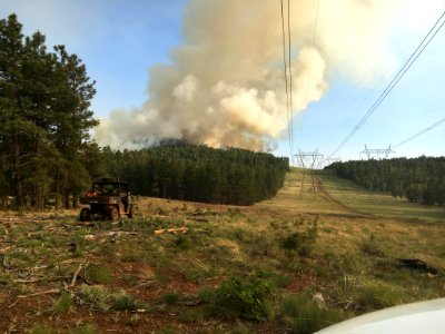 Jack Fire (June 2016)