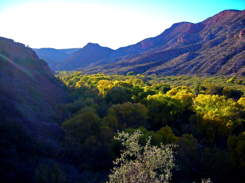 Sycamore Wilderness area in fall