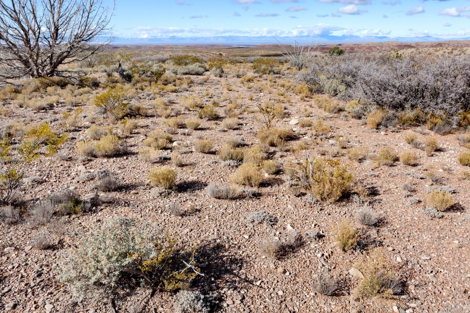 Northeast of Tularosa