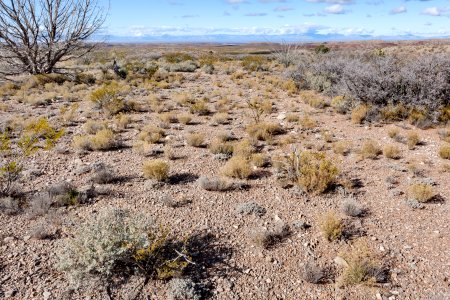 Northeast of Tularosa