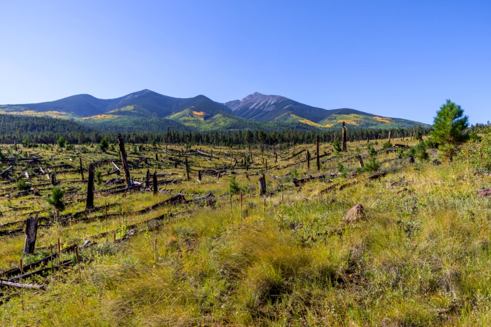 Around the Peaks Loop: FR 418