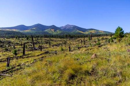 Around the Peaks Loop: FR 418