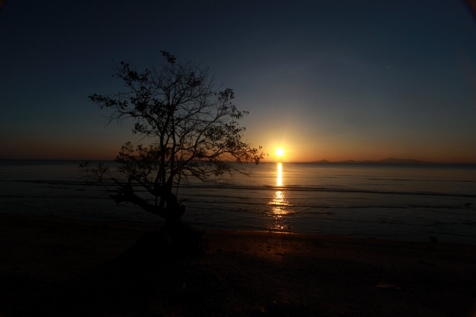 Evening landscape silhouette