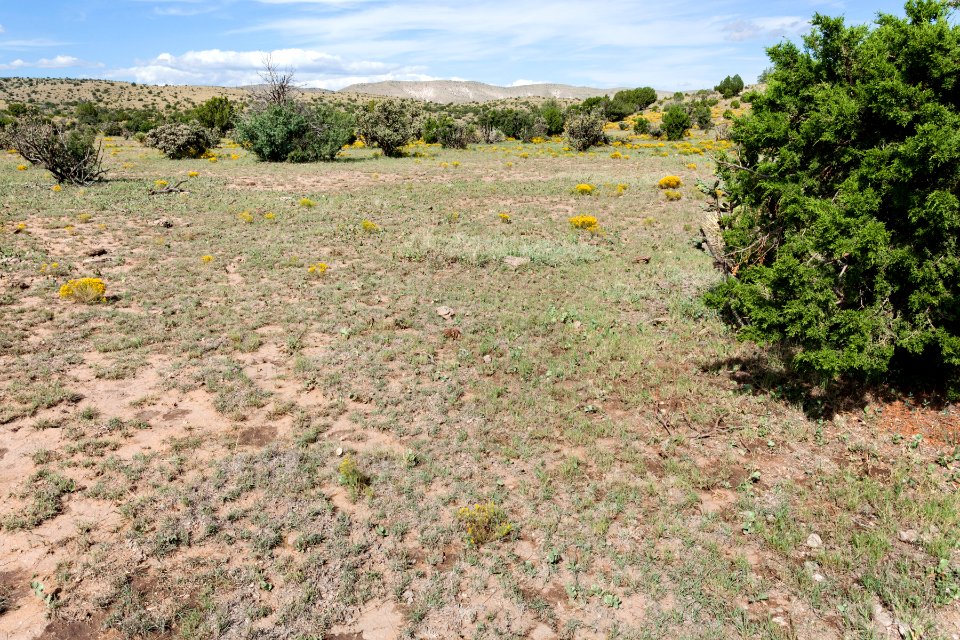 Southwest of Moccasin Draw