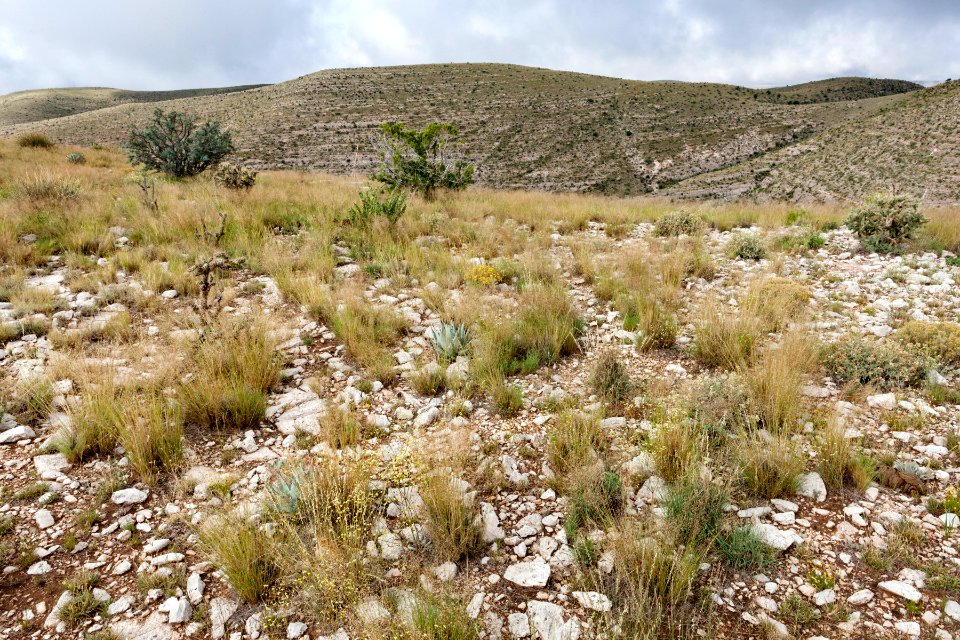 North-northeast of George Draw