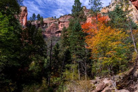 West Fork of Oak Creek Canyon No. 108