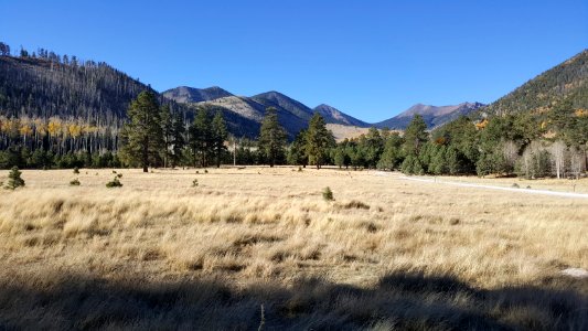 Lockett Meadow (October 10, 2017)
