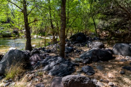 Homestead at Fossil Creek