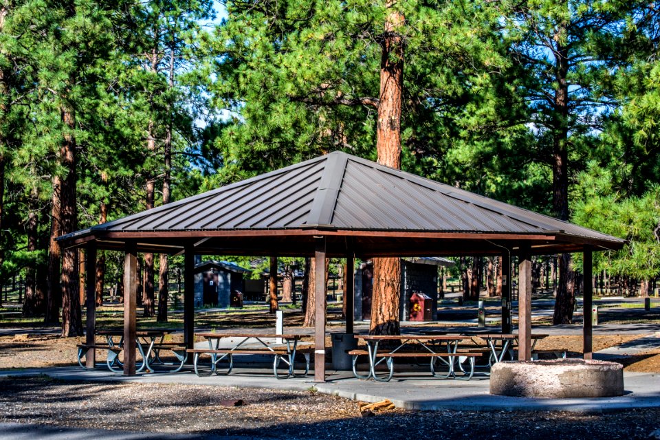 O'Leary Group Camp