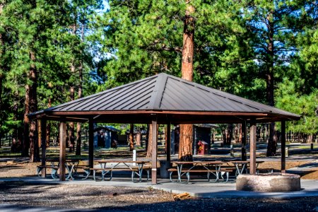 O'Leary Group Camp