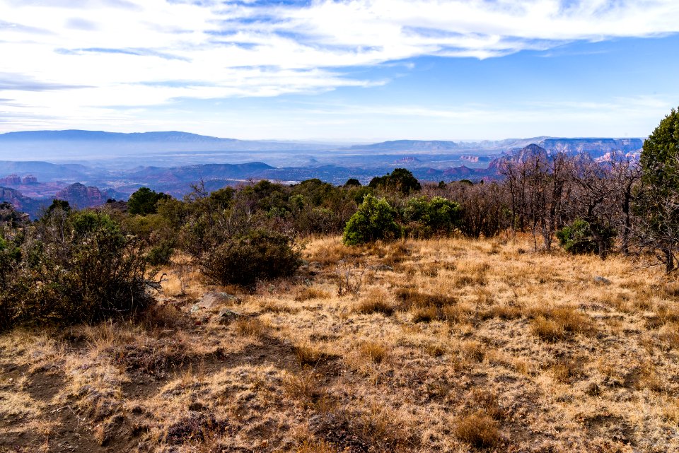 Munds Mountain Trail