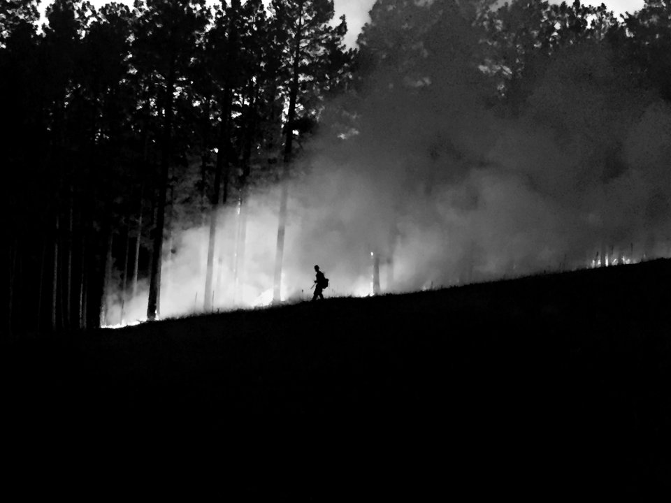 Camillo Fire 2015-06-17: Evening Operations