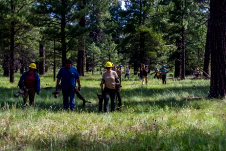 2017 Employee Work Day, Mountainaire