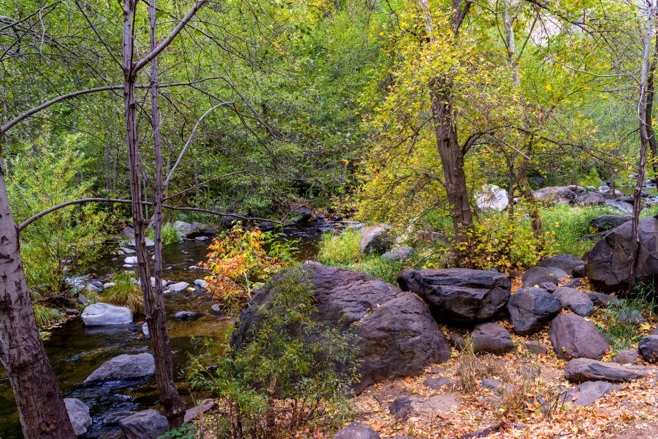 Banjo Bill Picnic Area (October 31, 2017)