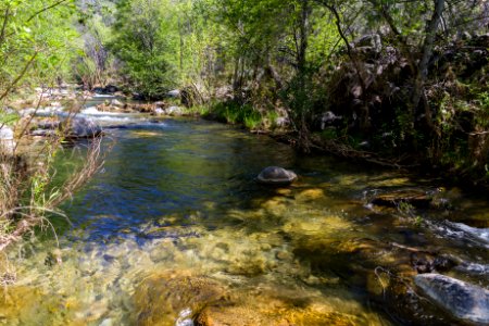 Homestead at Fossil Creek