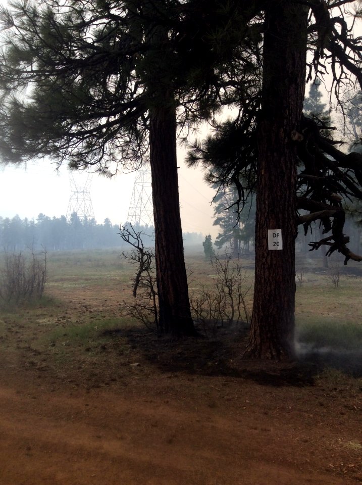 Upper Beaver Creek prescribed burn (April 27, 2017)