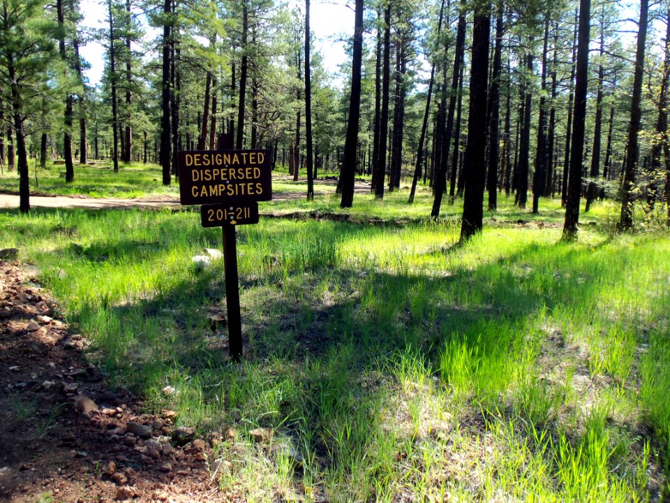 Pumphouse Wash (FR 237) Camping Loop 2
