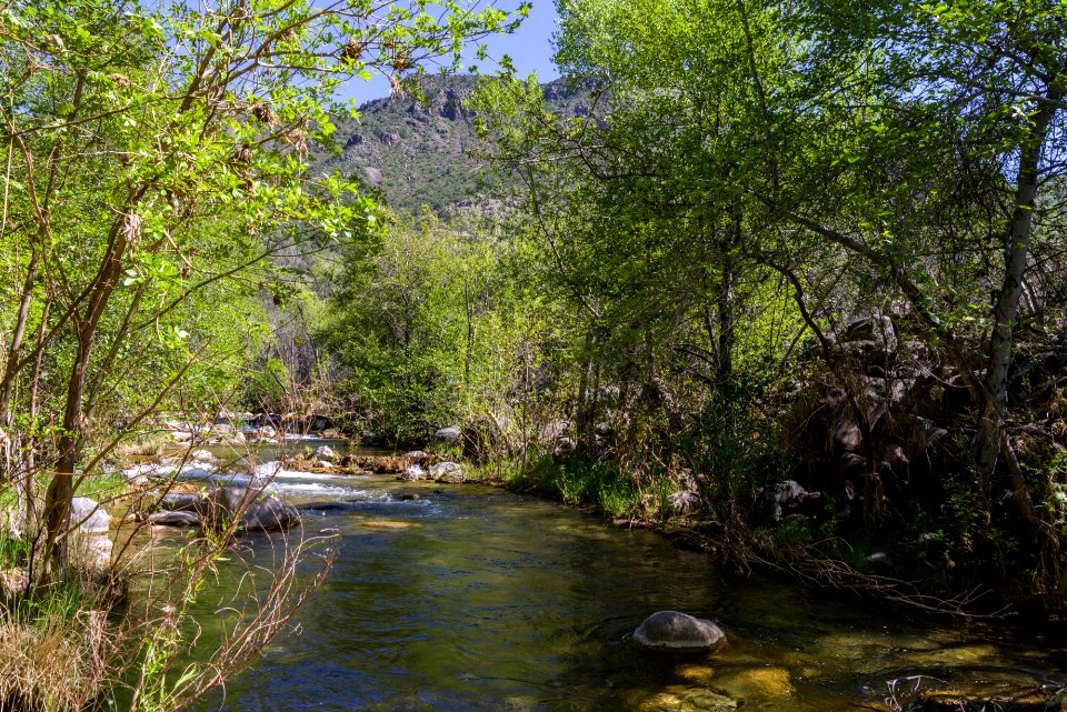 Homestead at Fossil Creek