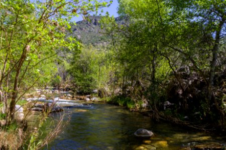 Homestead at Fossil Creek