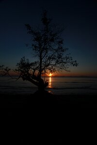 Landscape silhouette black landscape