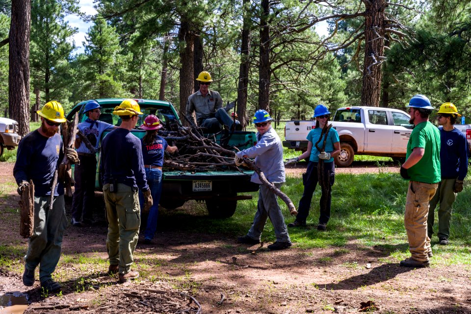 2017 Employee Work Day, Mountainaire