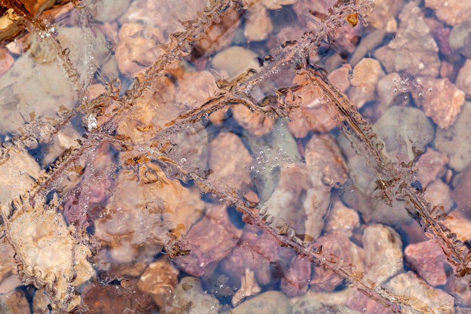 Ice at Monroe Lake