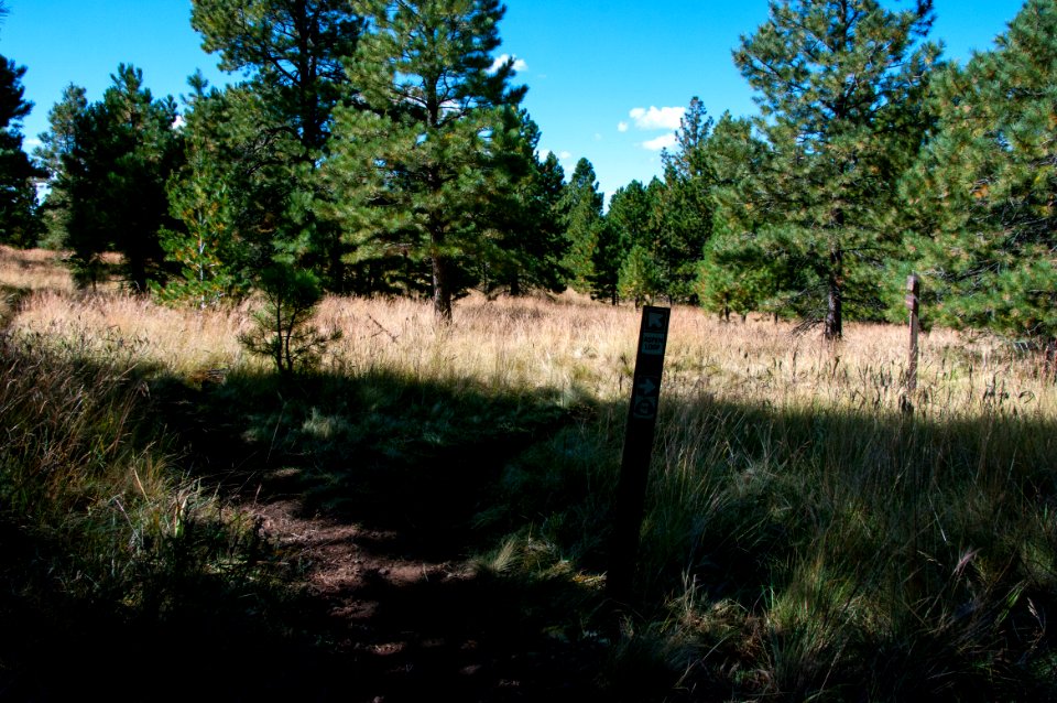 Aspen Loop Trail No. 73