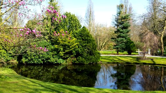 Arboretum Trompenburg photo