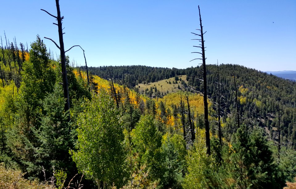 Mount Elden