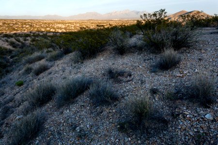 South of the Doña Ana Mountains