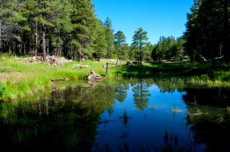 Griffith Spring Trail No. 189