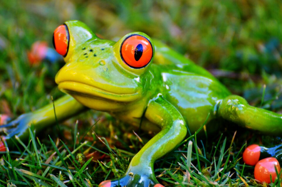 Animal green cute