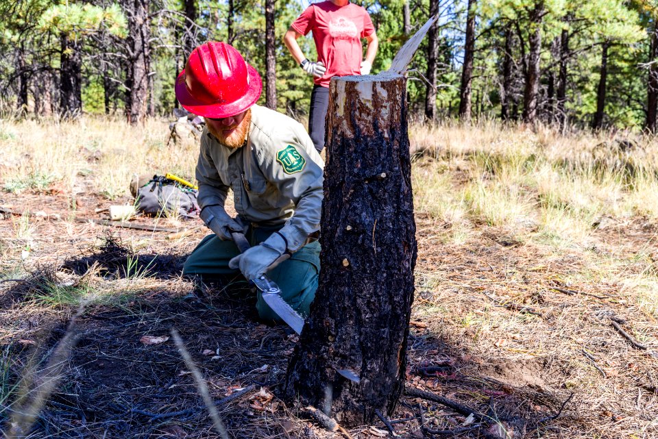 Deer Hill Trail: National Public Lands Day 2017