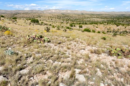 Southwest of Moccasin Draw