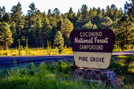 Pine Grove Campground