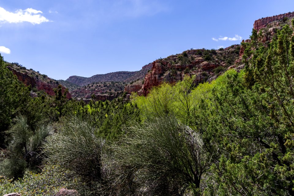 Parsons Trail No. 144