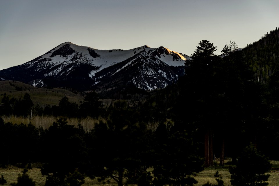 Lockett Meadow