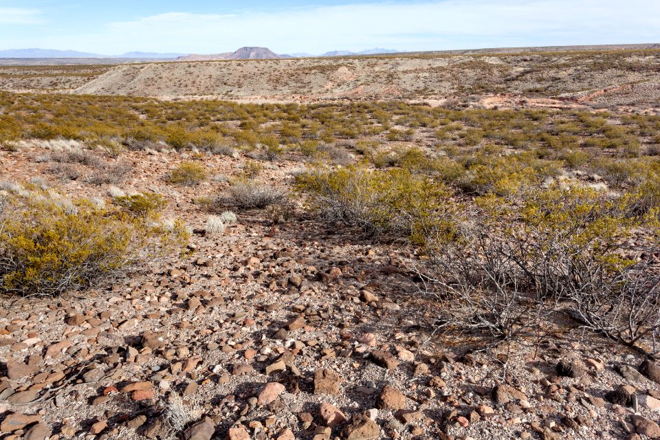 Southeast of Arroyo Angostura