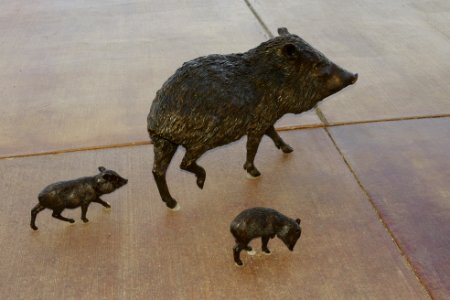 Javalina Sculpture