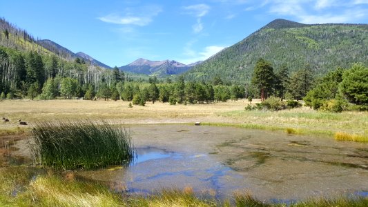 Lockett Meadow: September 19, 2017