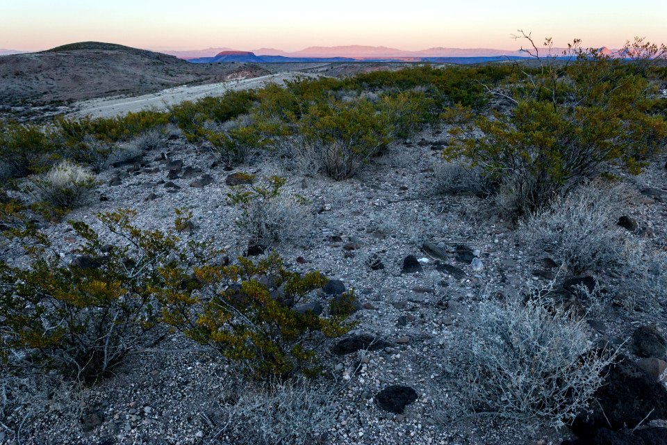 Eastern Sierra de las Uvas