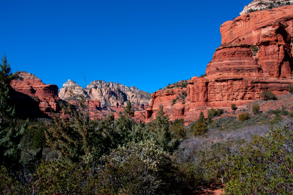 Boyton Canyon Trail No. 47