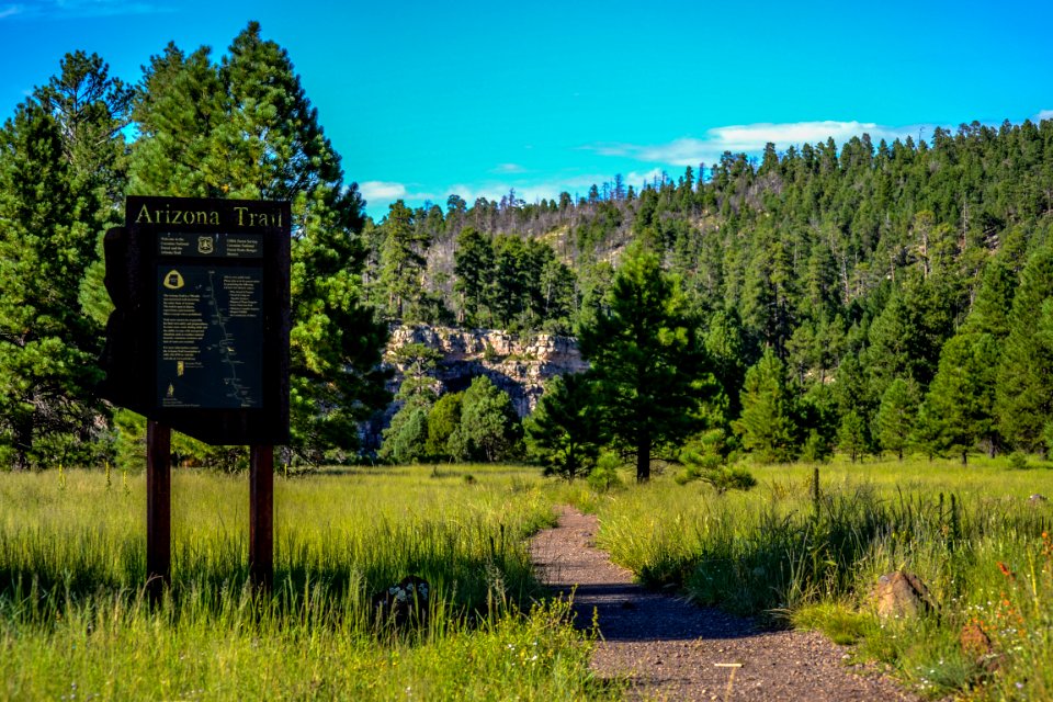 Canyon Vista Campground
