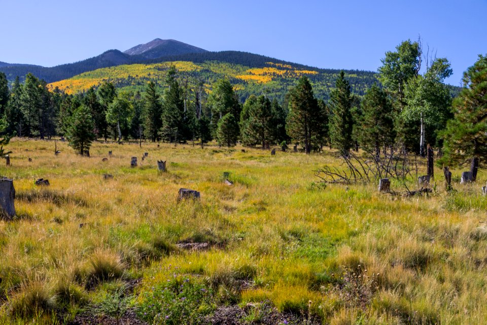 Around the Peaks Loop: FR 418