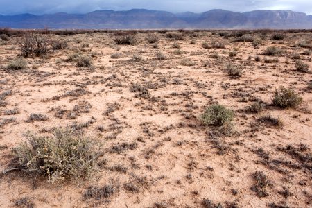 Northeast of Twin Buttes