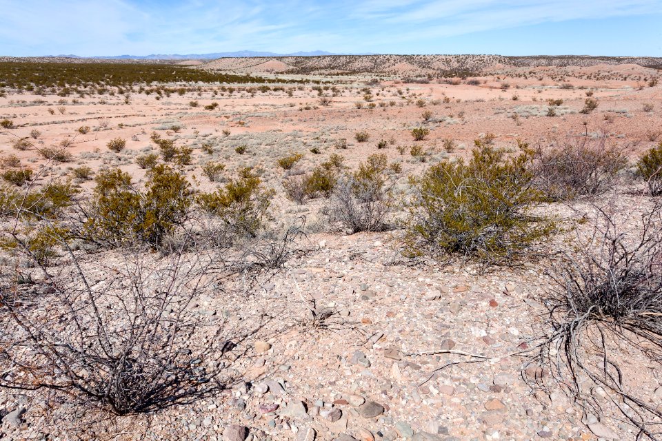 South side of Arroyo Cuervo